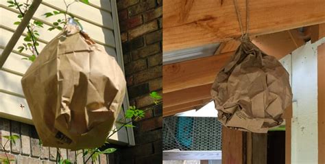 fake hornets nest paper bag|are paper wasp nests real.